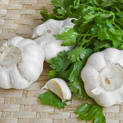 Garlic Cilantro - Infused Olive Oil