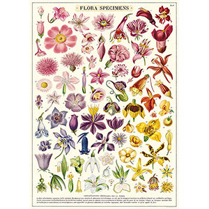 Vintage Floral &amp; Botanical Posters
