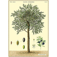 Vintage Floral & Botanical Posters