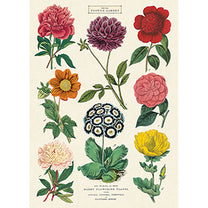 Vintage Floral &amp; Botanical Posters