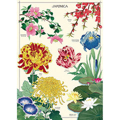 Vintage Floral & Botanical Posters