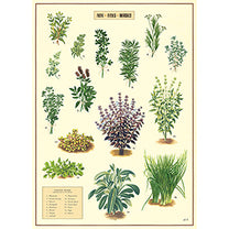 Vintage Floral &amp; Botanical Posters