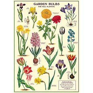 Vintage Floral &amp; Botanical Posters