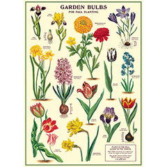 Vintage Floral & Botanical Posters