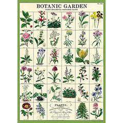Vintage Floral & Botanical Posters