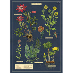 Vintage Floral & Botanical Posters