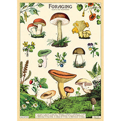 Vintage Floral & Botanical Posters