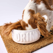 Dinner &amp; Drink Dog Bowl Set