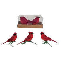 Foam &amp; Feather Cardinal Clip-on Ornaments, Red, Boxed Set of 3