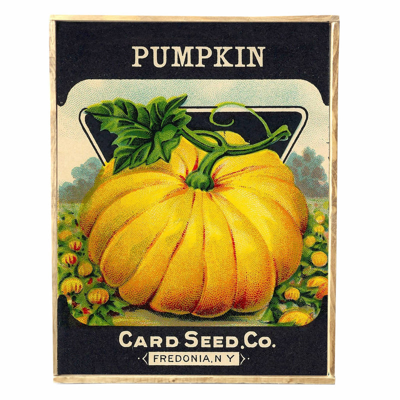Vintage Pumpkin Seeds Print