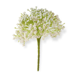 Baby’s Breath