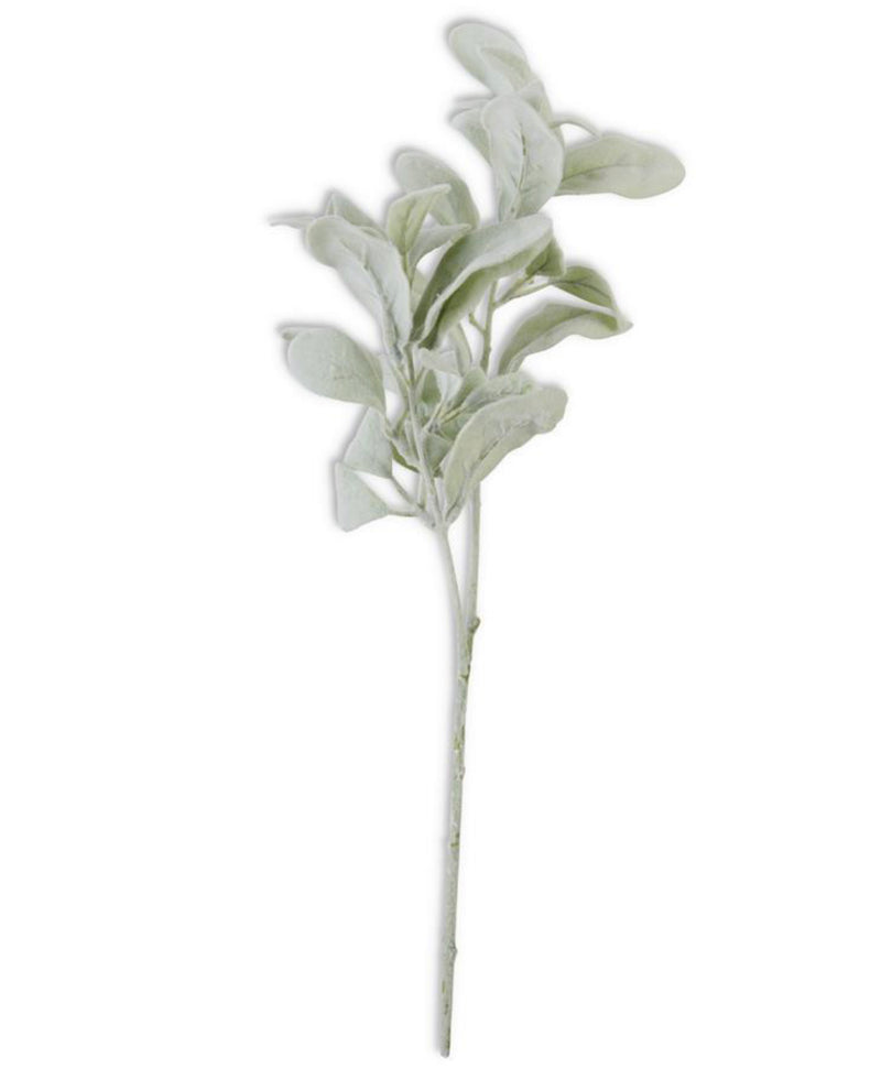 Lamb’s Ear Stem