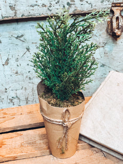Mini Tree