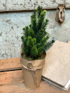 Mini Tree