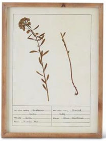 Tan Framed Botanical