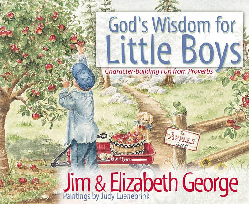God's Wisdom for Little Boys, Book - Kids (4-8)