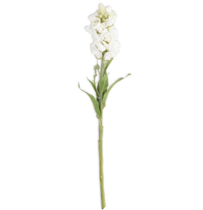 White Flower Stem