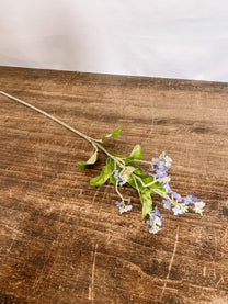 Forget-Me-Not Stem
