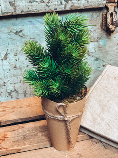 Mini Tree