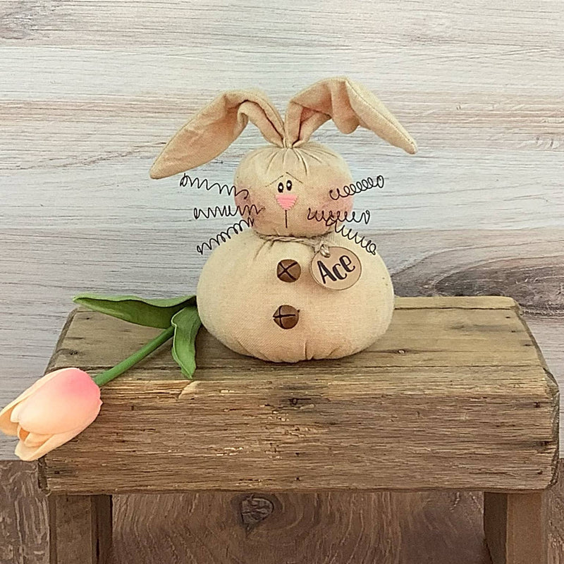 Ace the Bunny