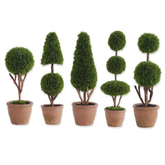 Cypress Topiary