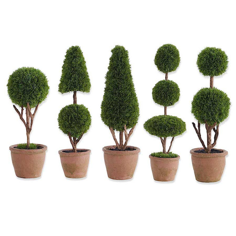 Cypress Topiary