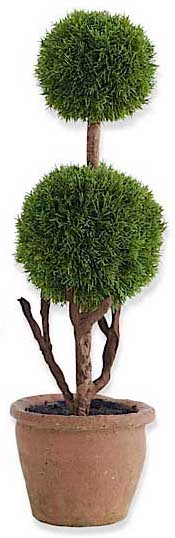 Cypress Topiary
