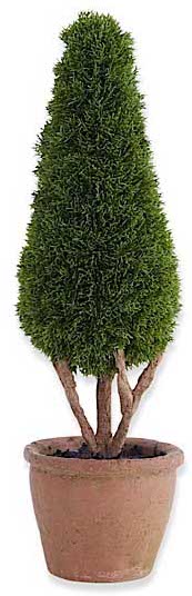 Cypress Topiary