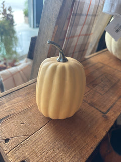 Mini Pumpkins