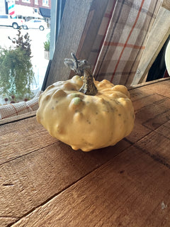 Mini Pumpkins
