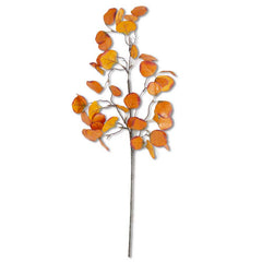 Gumdrop Eucalyptus