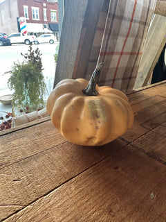 Mini Pumpkins