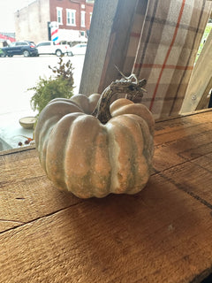 Mini Pumpkins