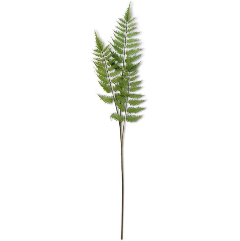 Three-Branch Fern