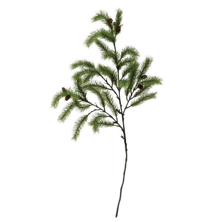 Pine Branch