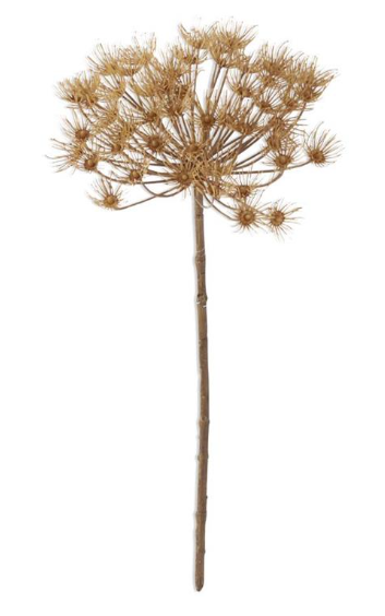 Fall Allium Stem