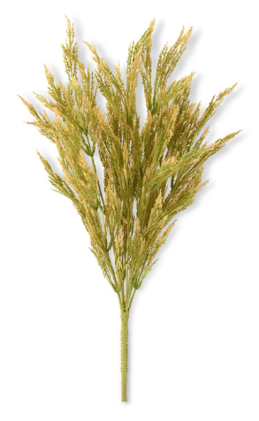 Wheat Bush