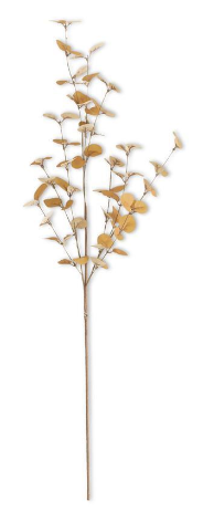 Two-Toned Eucalyptus Stem